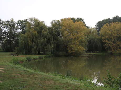 Chérancé fishing pond