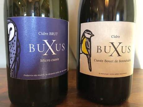 Cidre et miel Buxus