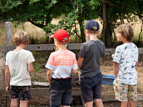 Stage petit(e) fermier(e) à la Ferme d'Emilie (7-12 ans)