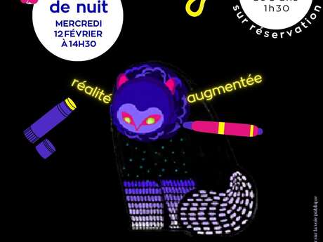 Exposition interactive : Tanuki de nuit (Chatillon-sur Colmont)