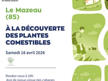 Balade nature « Découverte des plantes comestibles »