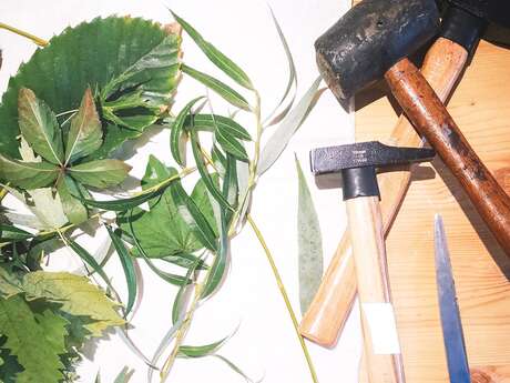 ATELIER FAMILLE "Empreintes végétales"