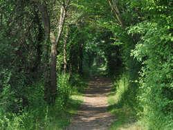 Boucle du bois de la Cornuère