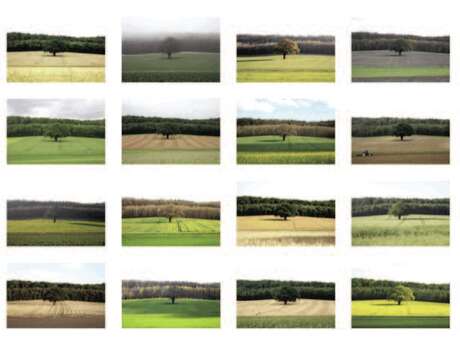 Exposition de photos par Laurent Dubois - Mobilis in mobili