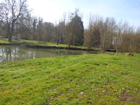 Pêcher en bordure de la Braye