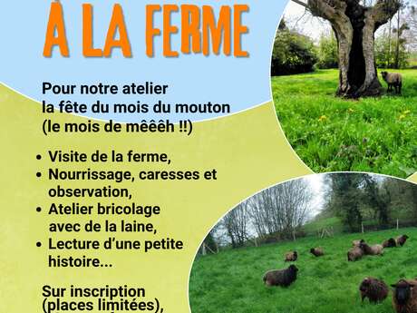 Fête du mois du mouton