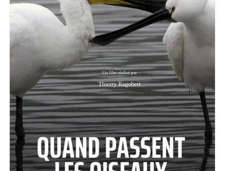 Quand passent les oiseaux ?
