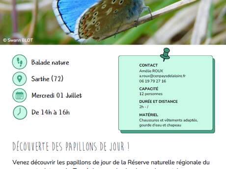 Découverte des papillons de jour !