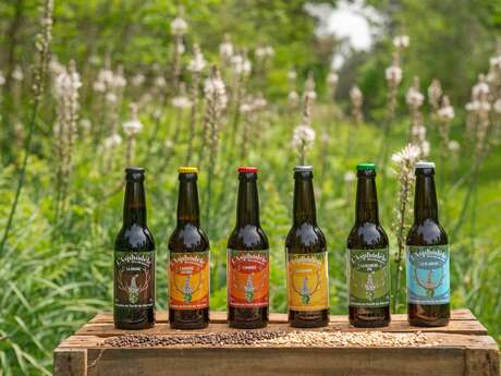 Visite de la micro-brasserie artisanale L'Asphodèle