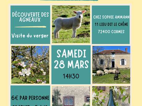 Après midi à la ferme