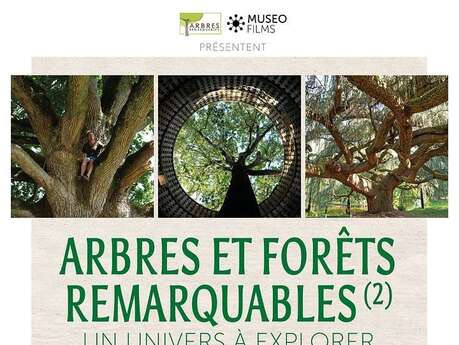 CINÉ-DÉBAT "Arbres et forêts remarquables, un univers à explorer"