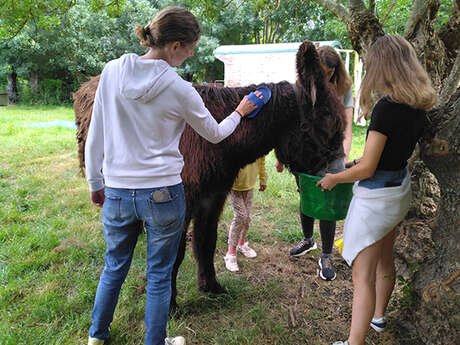 Atelier de l'ânier