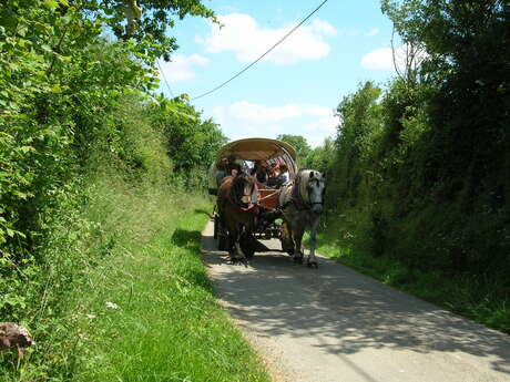 BOUCLE MULTI-RANDONNÉES N°02 - SPECIAL ATTELAGE / STE SUZANNE, TORCÉ ET CHAMMES