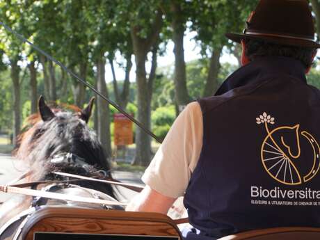 Crinière au vent, "Fontenay Autrement" (version Gourmande) !