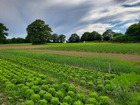 Aire de stationnement camping-car - Du champ à l'assiette 72