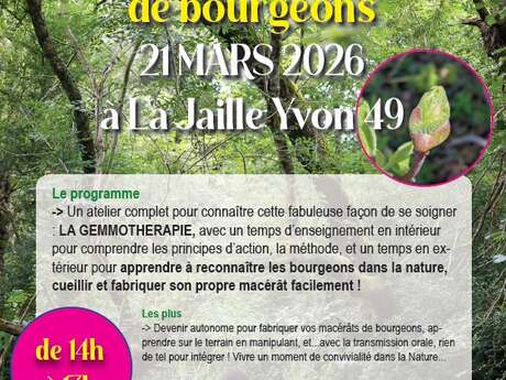 "Fabriquer son macérât de bourgeons" - Nature et Simples