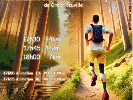 Sur la Trace du Lion