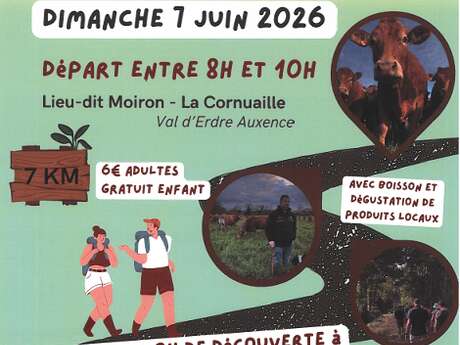 Rando Ferme - La Cornuaille (Val d'Erdre Auxence)