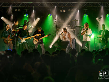 Singulier pluriel - Tribute Jean-Jacques Goldmann