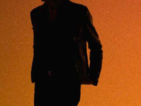 Concert "Alain Chamfort"