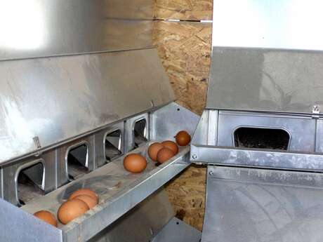 FERME DE LA CIVRAIE - VENTE À LA FERME