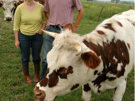 FERME DES MIMOSAS - VENTE À LA FERME