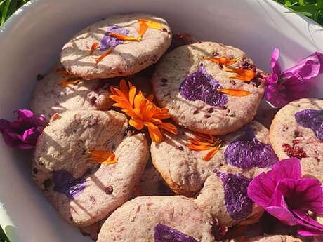 Les Rendez-vous Nature en Anjou - Grimpe d'arbre et biodiversité