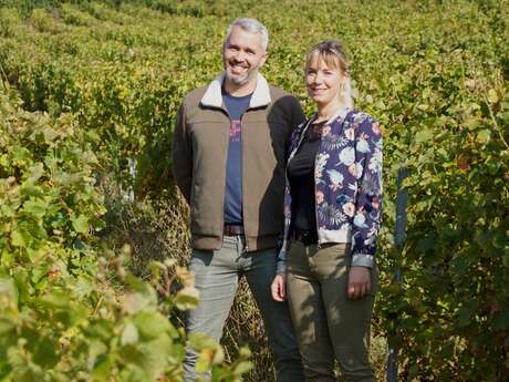 Domaine Lelais dégustation et vente de vin