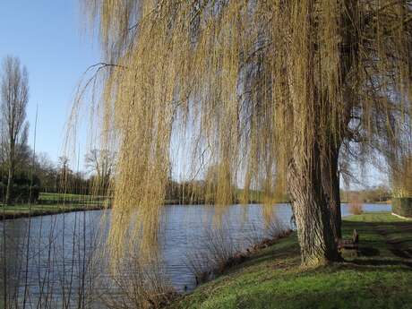 AUTOUR DU LAC DE MIRÉ