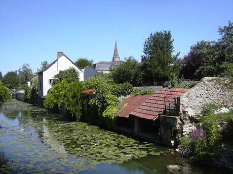 Pêcher sur les Quais de l'Anille