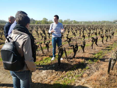 Visite du domaine et cours d'oeonologie au Château du Bois Huaut