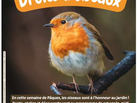 Atelier "Drôles d'oiseaux"