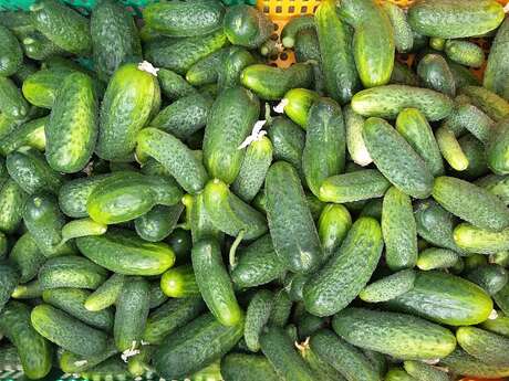 Olivier Corbin - Producteur de cornichons