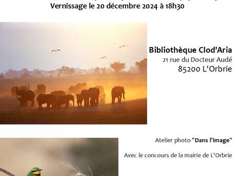 EXPO PHOTO "FAUNE AFRICAINE"