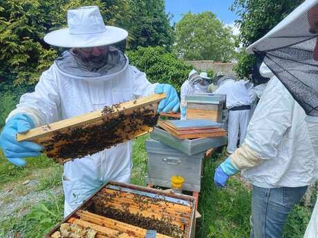 Réaliser son savon à base de produits de la ruche