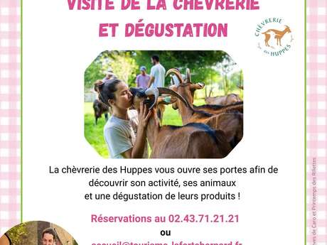 Visite de la Chèvrerie des Huppes