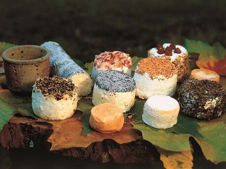 Capristar : fromage de chèvre