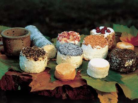 Jean-Yves Leproust - Fromage de chèvre