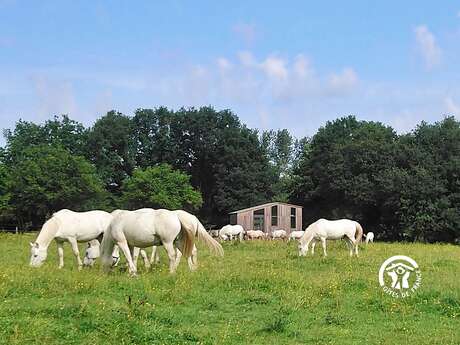 TINY COEUR CAMARGUE