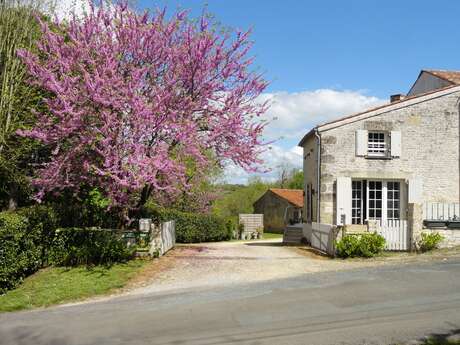 Le Lavoir