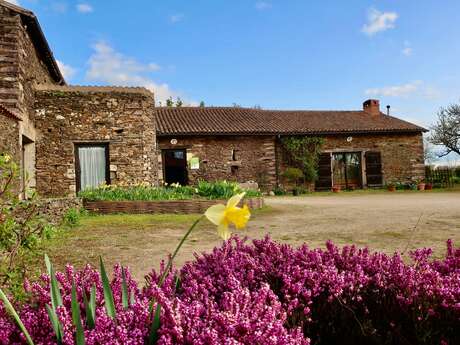 Gîte du Grand Pin