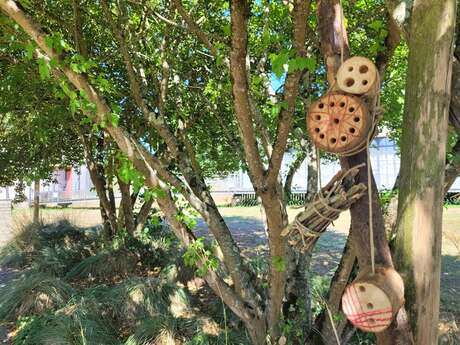 Atelier un hôtel pour les insectes