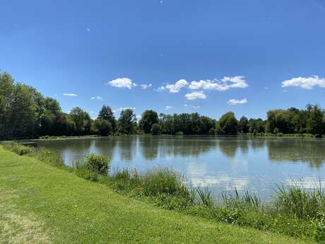 Vernie fishing pond