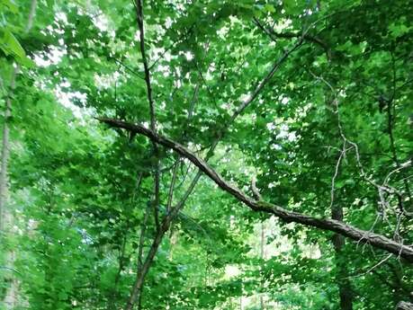 Séance Parent / Enfant