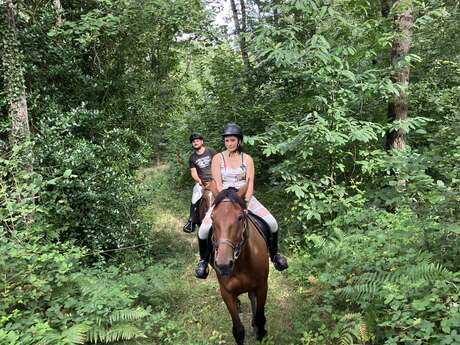 Chevauchée en pleine nature 3h