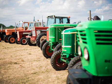 Comice agricole - vide greniers et animations diverses