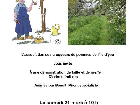 Démonstration taille et greffes au verger patrimonial