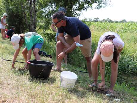 À la pêche aux américaines