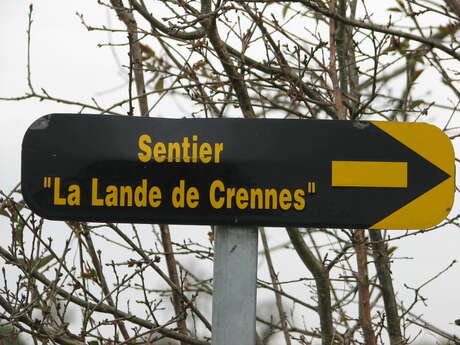 20 DE LA LANDE DE CRENNES AU PETIT VAL