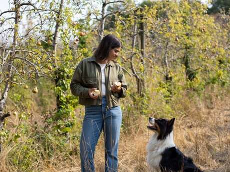 Visite d'un domaine cidricole : la Maison To